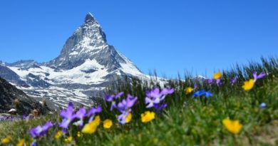bitcoin ether safe investment strategy