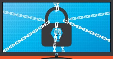 ransomware hackers demand bitcoin for sex toy